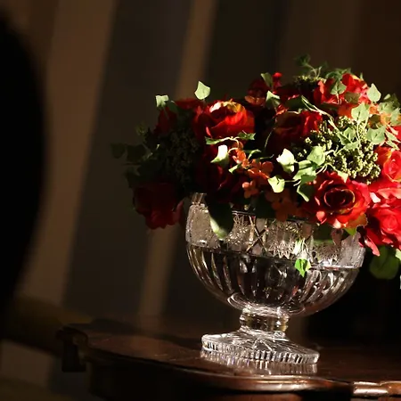 Vvm和斯图瑞可住宿加早餐旅馆 住宿加早餐酒店