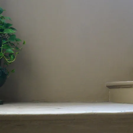 Vvm和斯图瑞可住宿加早餐旅馆 住宿加早餐酒店